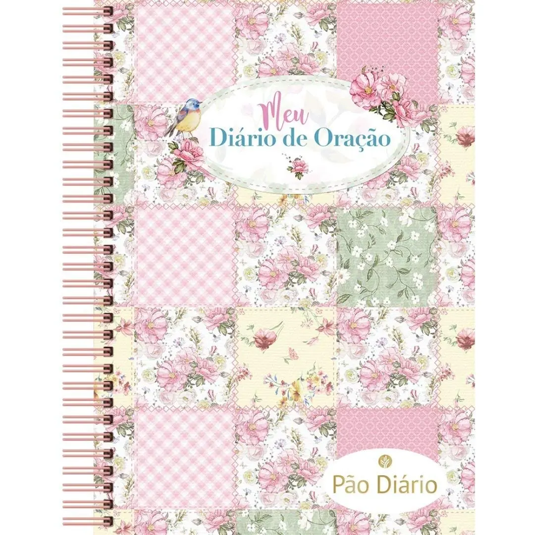 Meu diário de oração - Pão Diário - Minhas orações - Devocional diário: 367 meditações devocionais com espaço para suas anotações