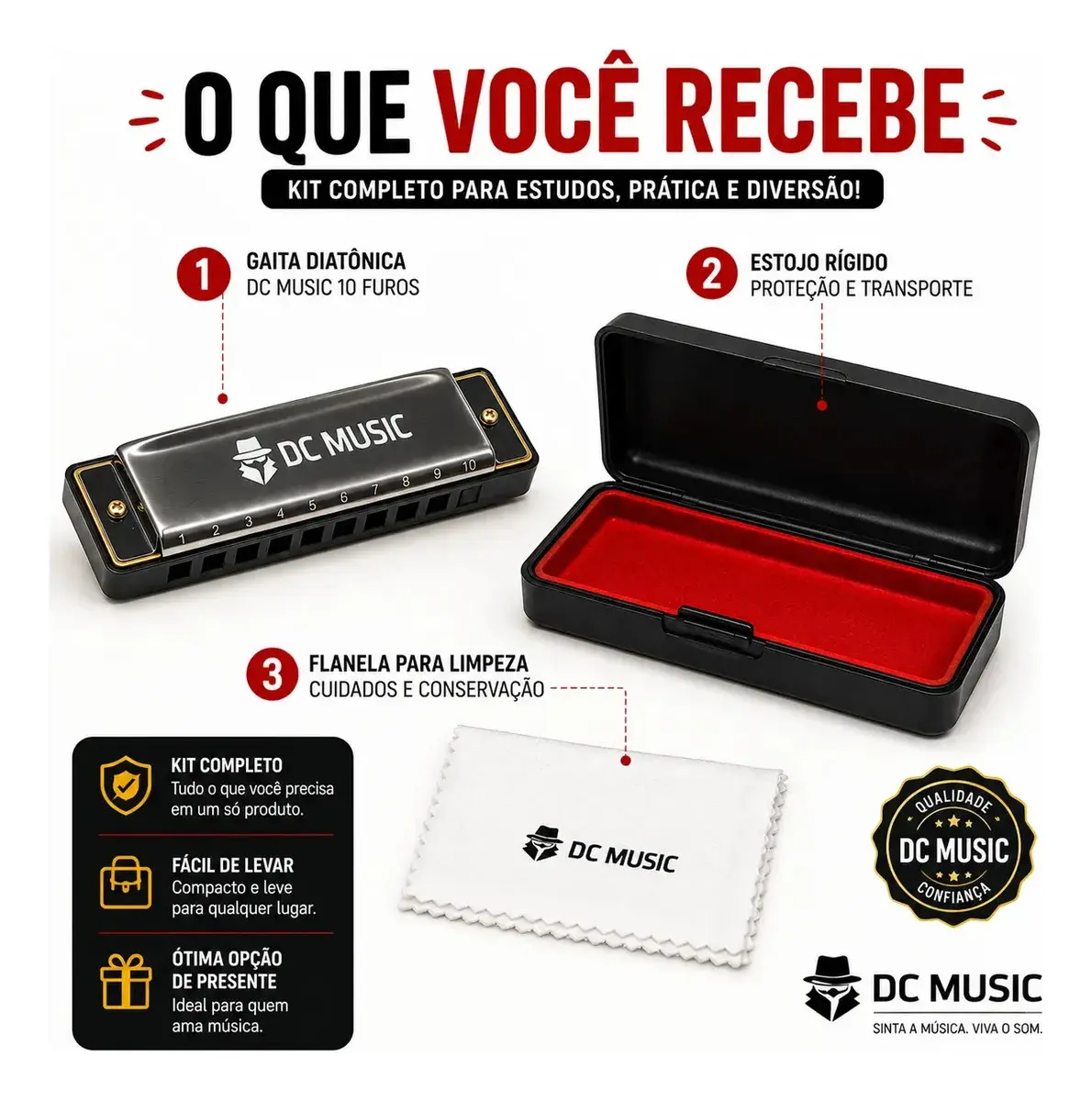 Gaita De Boca Diatônica harmônica Profissional Premium Em Dó C 10 Furos 20 Tons Cromada Para Blues Folk Rock Com Estojo Don Caprini thumbnail 4