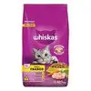 Ração para Gato Whiskas Premium Dry Frango e Leite 10,1Kg - 1