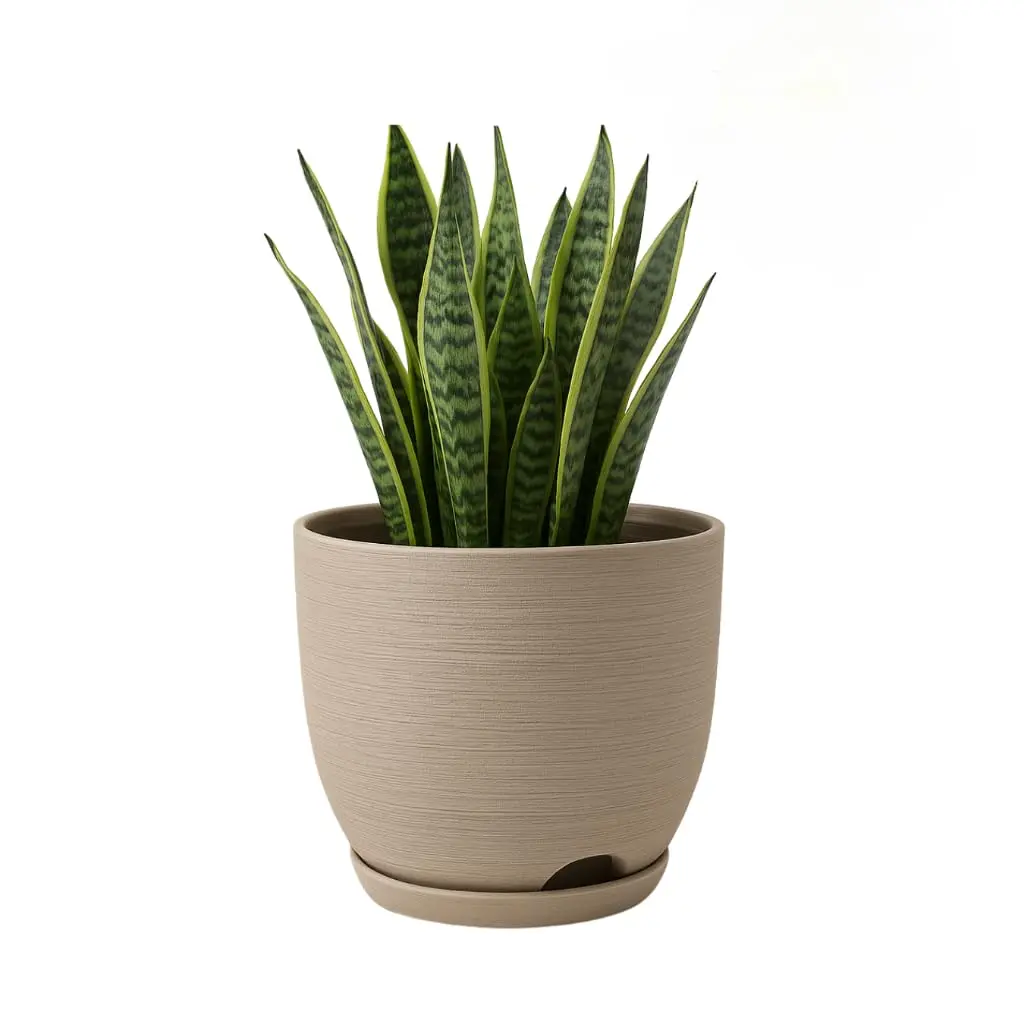 Vaso Polietileno Cor Bege Para Plantas Jardim Sala Luxo escovado bojo pequeno Com Prato - 1