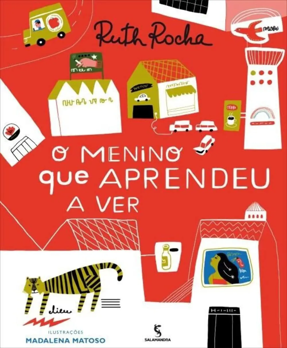 O menino que aprendeu a ver - 1