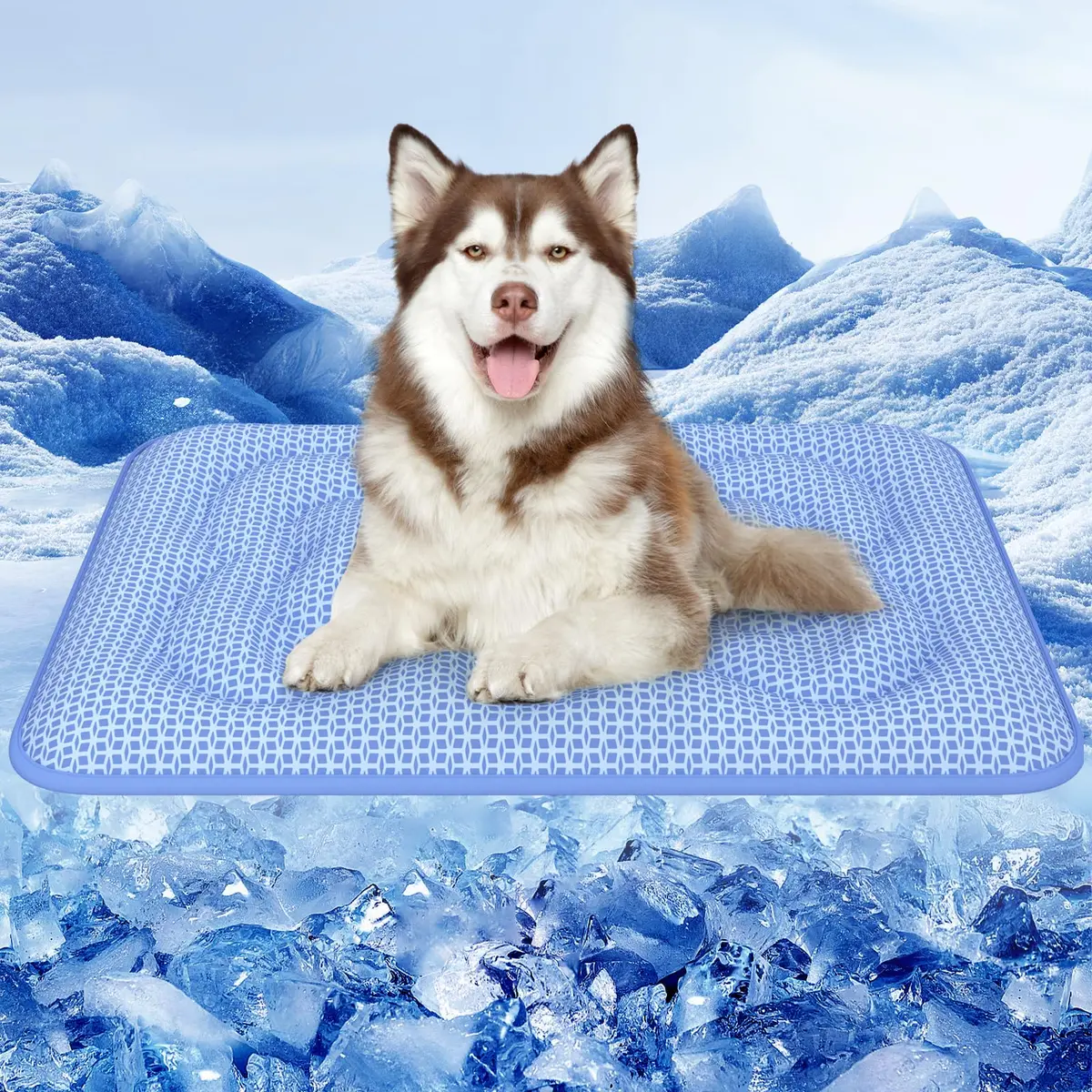 Rywell Tapete Gelado para Cachorros 90 x 70 cm, Design Dupla Face para o Ano Todo, PCM e Arc-Chill Q-Max>0.5, Muda de Cor com o Calor, Espessura Reforçada, Lavável à Máquina, para Cães Grandes, Azul