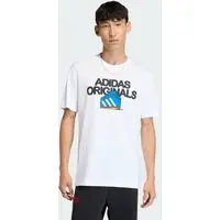 Camiseta FTW Franchise Homem adidas
