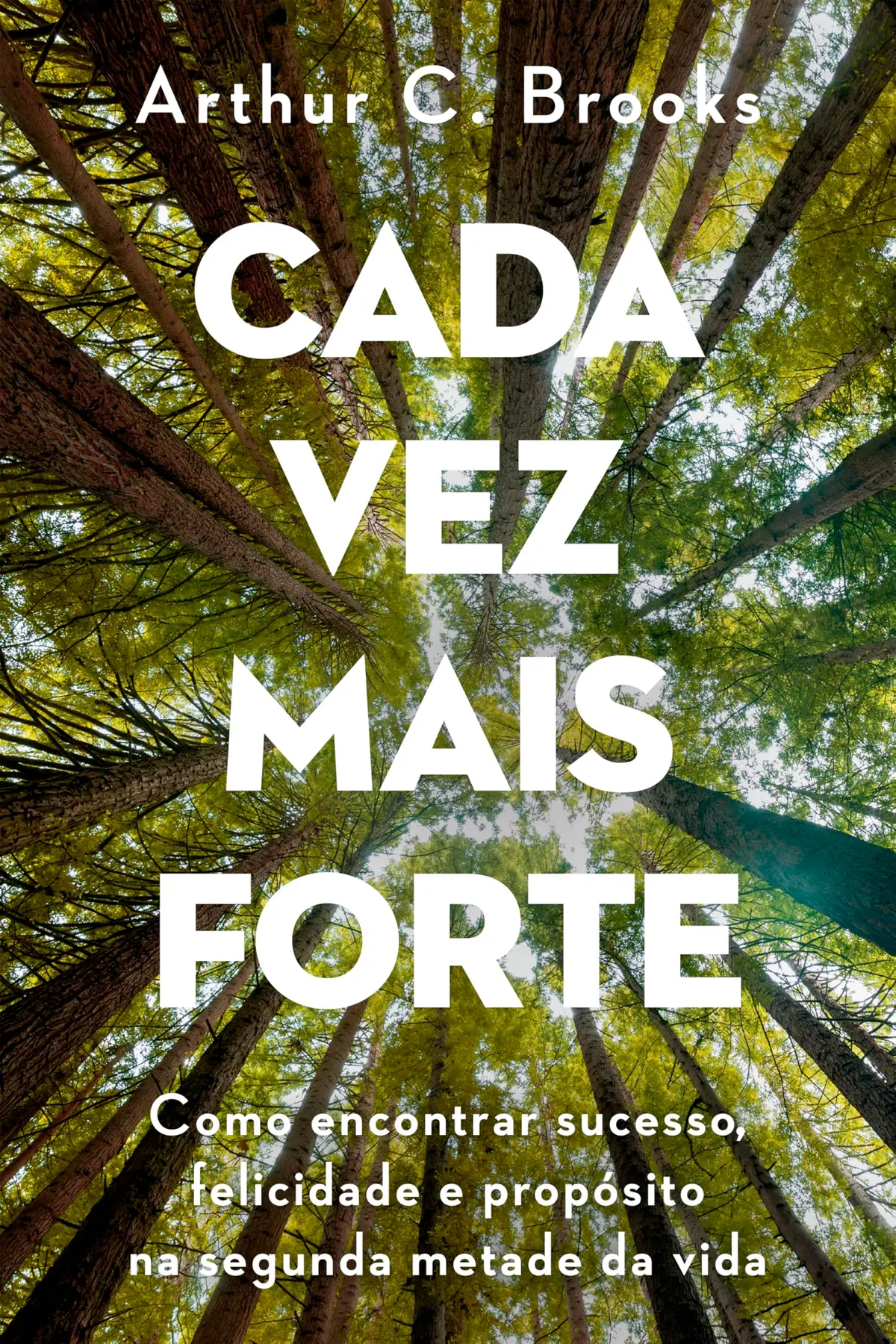 Cada vez mais forte: Como encontrar sucesso, felicidade e propósito na segunda metade da vida - 1