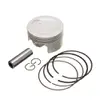 Pistão Kit C/Anel Rik Premium Fazer 250 0.75 - 1