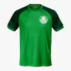 CAMISETA MASCULINA PALMEIRAS LINE, VERDE, G - 1