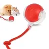 Brinquedo Bola Inteligente Recarregável Pet - 1