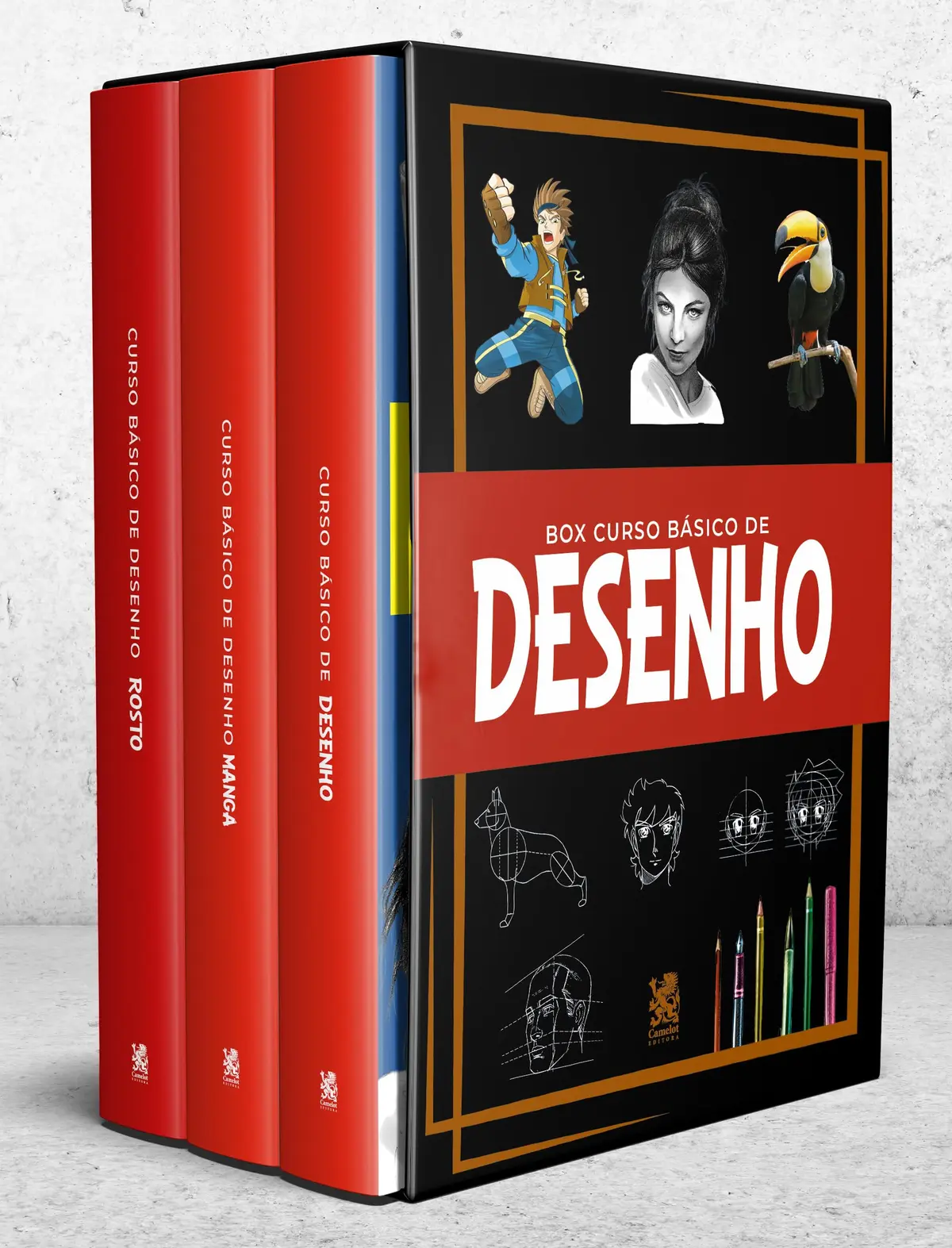 Curso Básico de Desenho - Box com 3 Livros - 1
