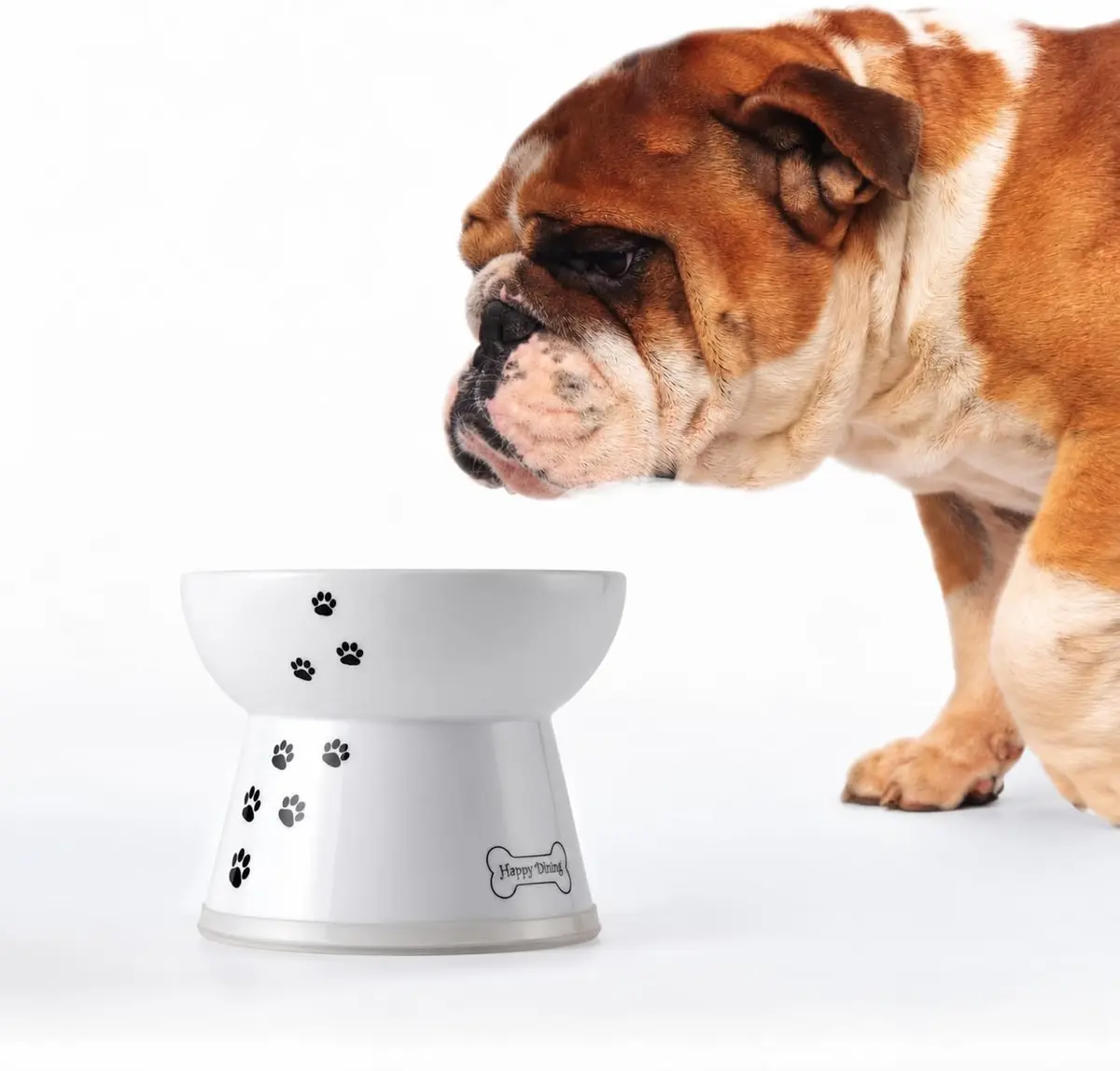 Necoichi Tigela elevada para comida de cachorro - 1