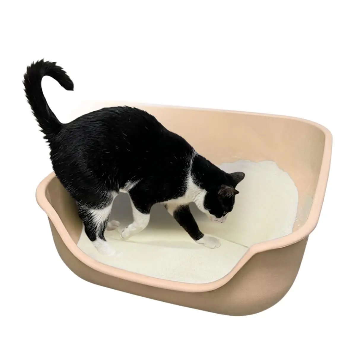 Pet Games Caixona De Areia Bege - Bandeja Higiênica Para Gatos