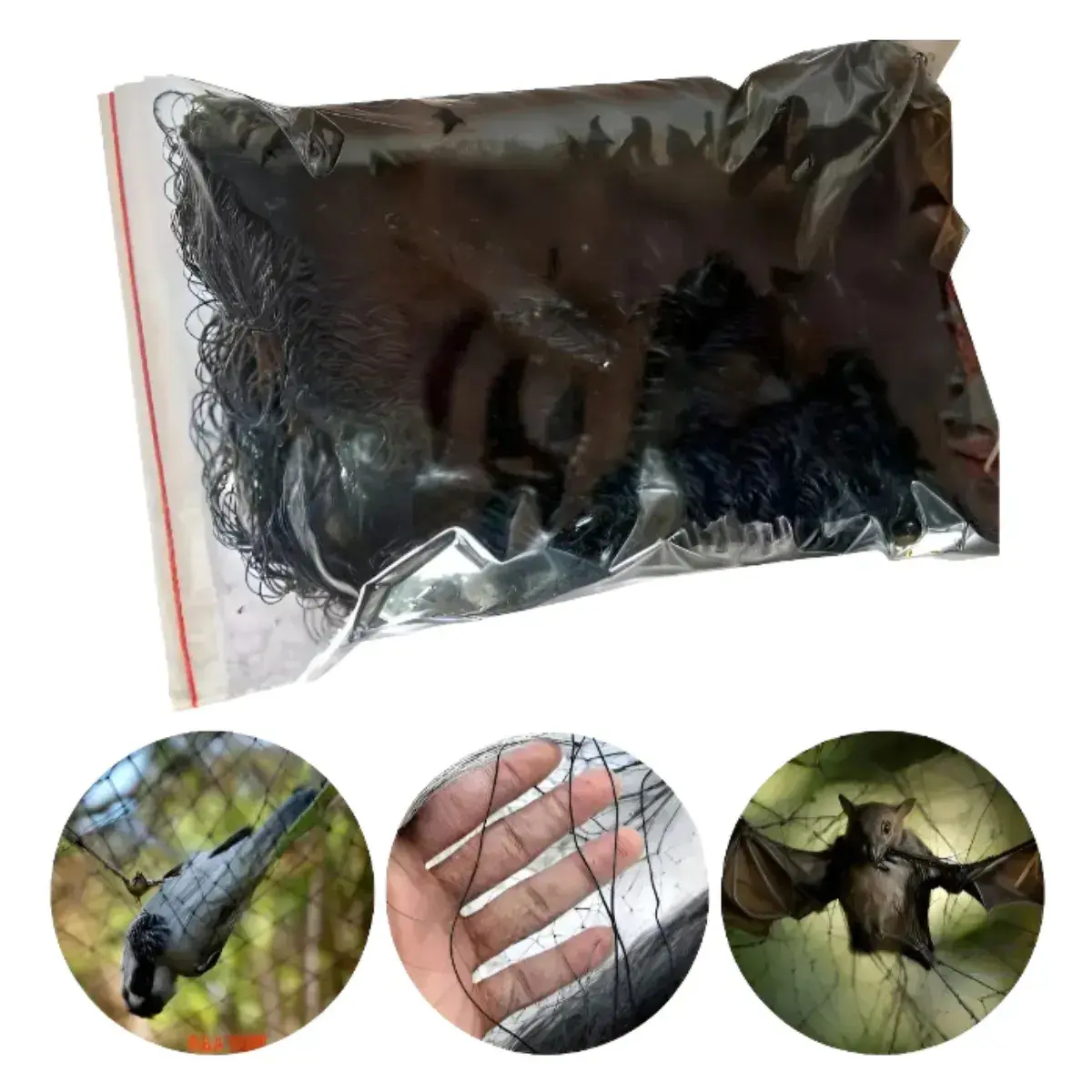 Rede Nylon Tela Resistente Proteção Profissional Pássaros Morcegos 6x3m Pesquisa Névoa Náilon Preto - 1