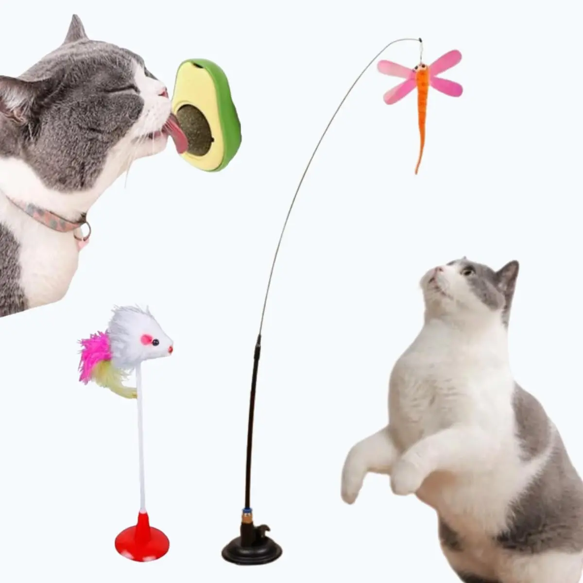 Kit 3 Brinquedo Gato Varinha Pássaro Com Ventosa Fixa Chao Parede Janela Bolinha Catnip - 1