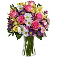 Luxuoso Mix de Flores do Campo no Vaso