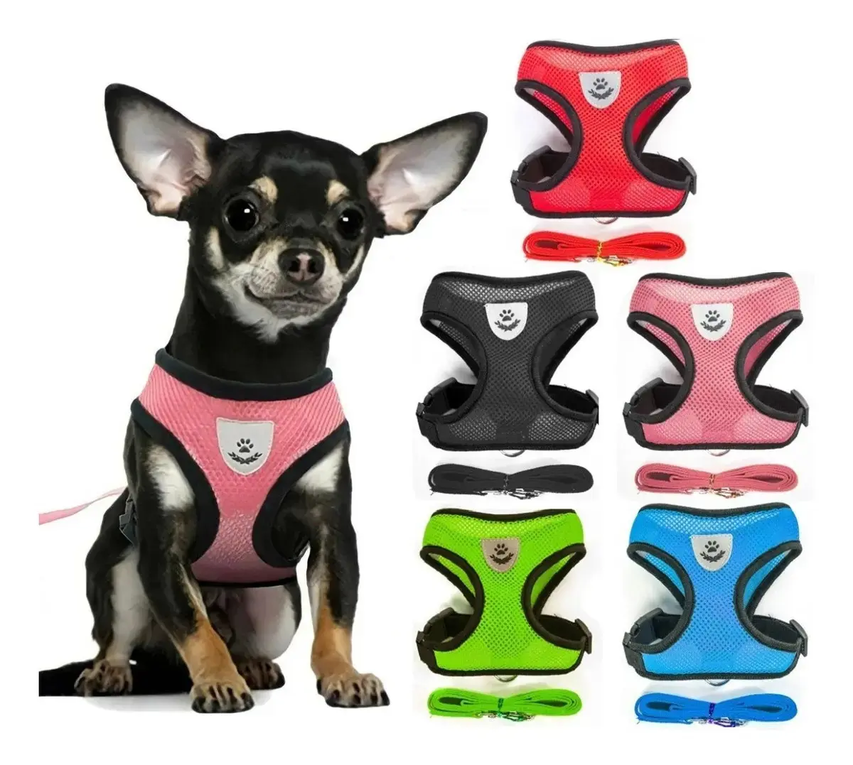 Peitoral Azul para Cães e Gatos Pequenos com Guia 1,2m Náilon - 1
