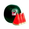 [ REGIONAL ] Melancia Vermelha Pingo Doce R$ 1,99 Kg - 1
