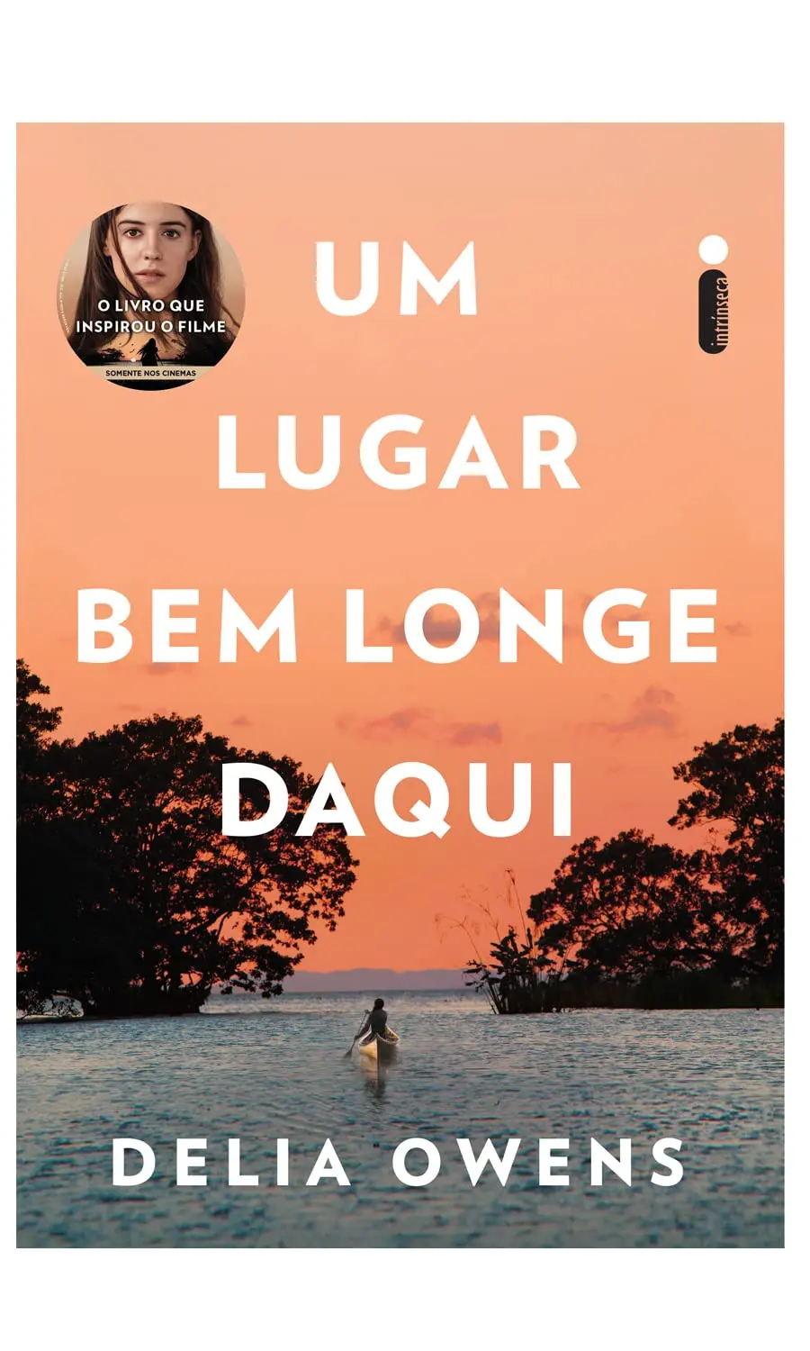 Um lugar bem longe daqui: O livro que inspirou o filme um lugar bem longe daqui - 1
