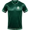 CAMISETA MASCULINA PALMEIRAS STORM, VERDE, G - 1