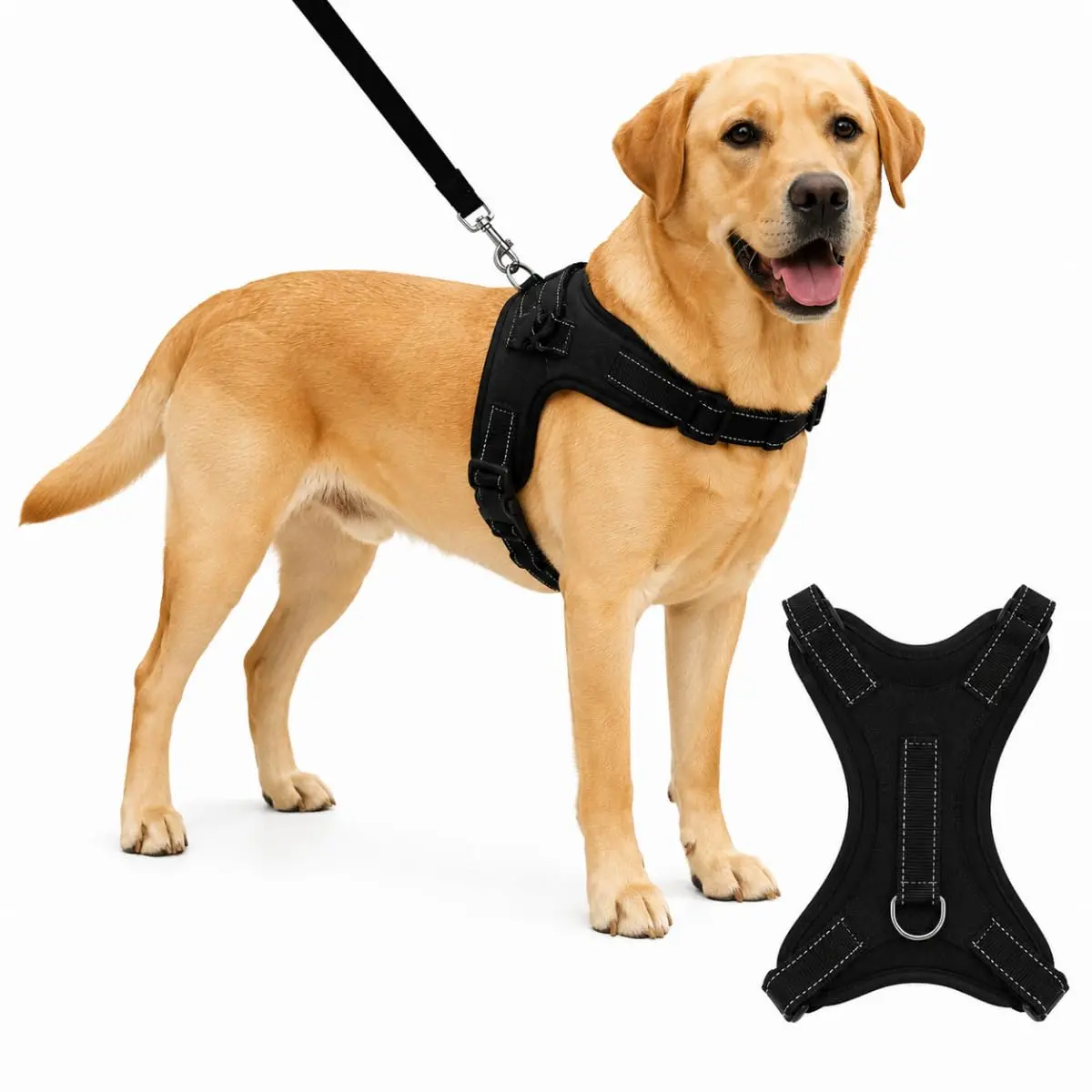 Coleira Peitoral G com Regulagem e Dupla Trava de Segurança para Cães e Gatos (PRETA) - 1