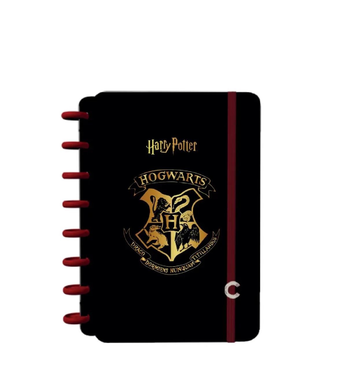 Caderno Inteligente, A5, Harry Potter, 140x200 mm, 80 Folhas