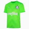 Camisa Palmeiras Goleiro Away Jogador 2023 - 1