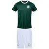 Betel, Kit Palmeiras 1914 II, Verde/Branco, 6 - 1