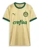 Camisa Palmeiras Torcedor Third 2024 Puma - 1