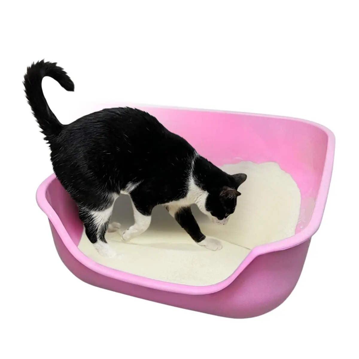 Pet Games Caixona De Areia Rosa - Bandeja Higiênica Para Gatos