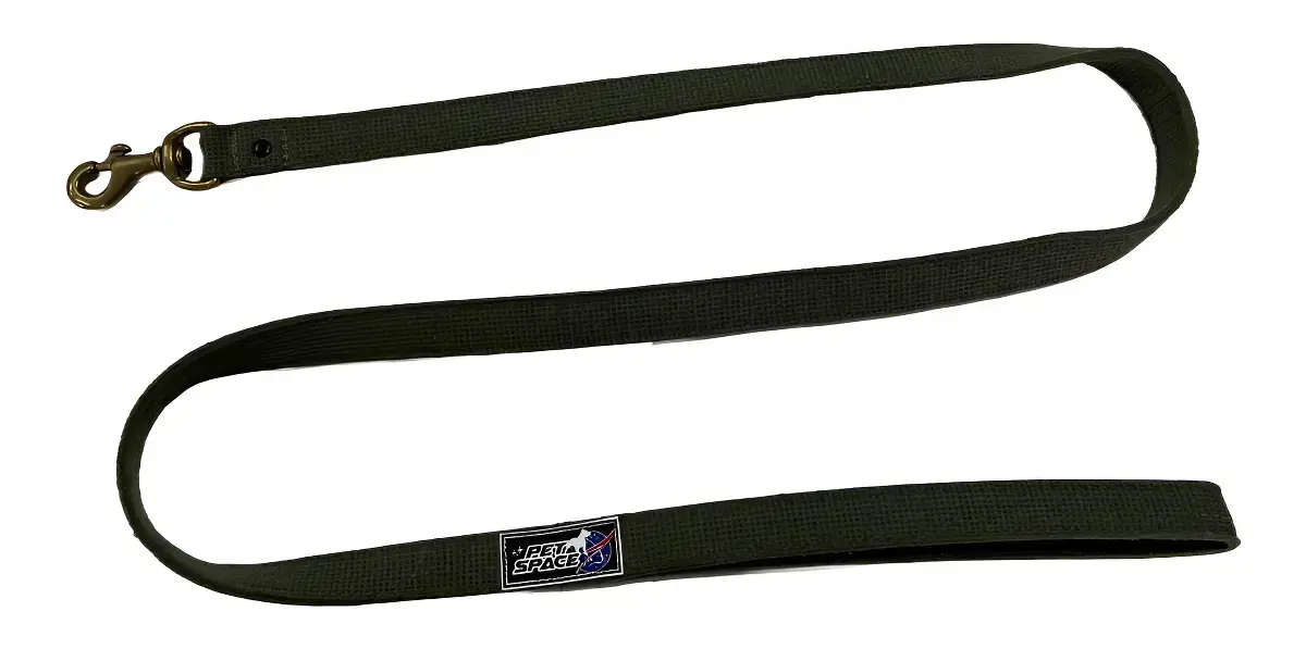 Guia Para Adestramento Passeio Lona Com 150cm Latão Petspace Cor Verde Militar