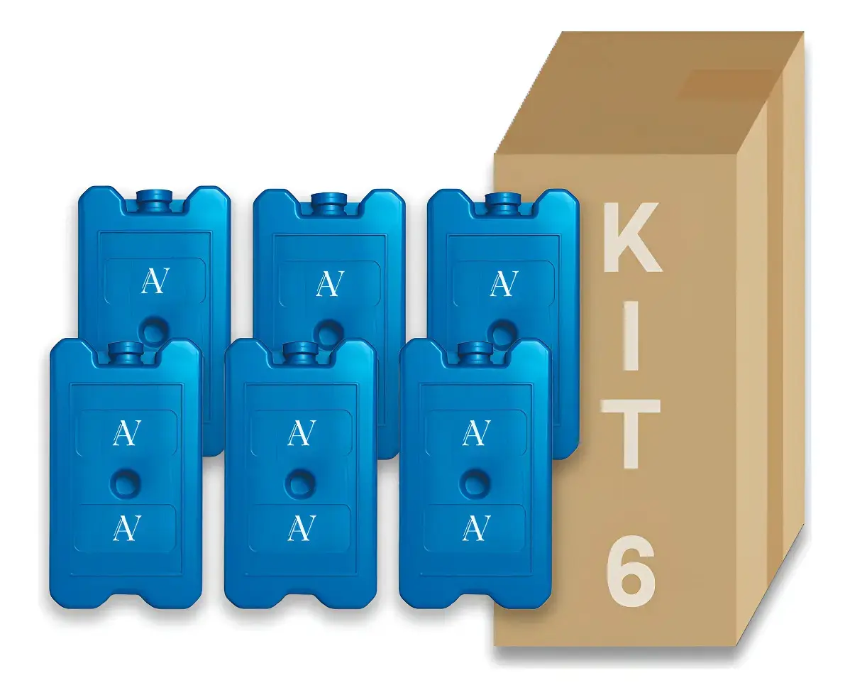 Kit 06 Gelo Gel 200ml Artificial Reutilizável Caixa Cooler Azul