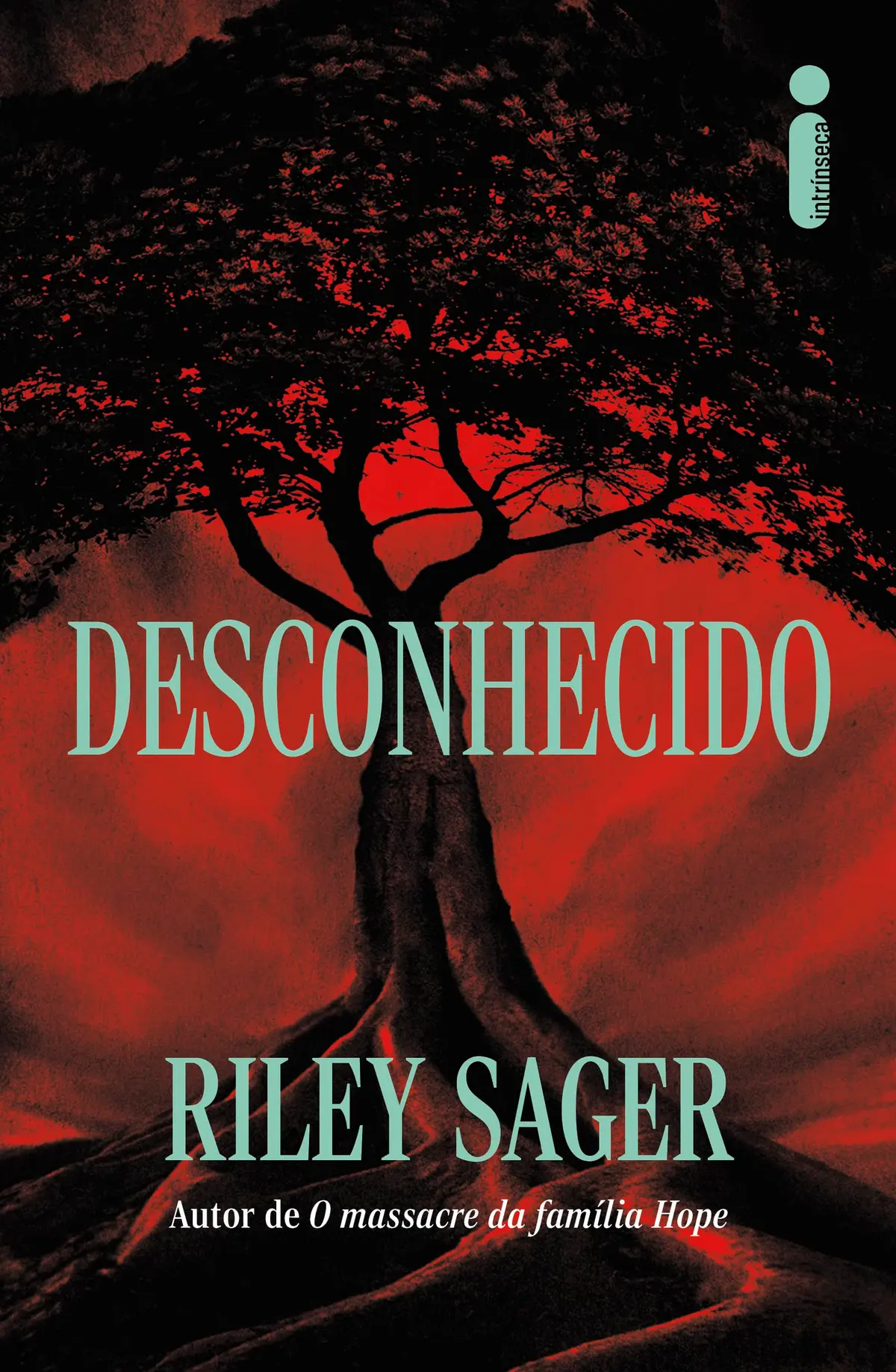 Desconhecido - 1
