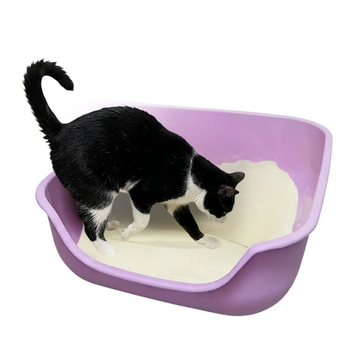 Pet Games Caixona De Areia Lilás - Bandeja Higiênica Para Gatos - 1